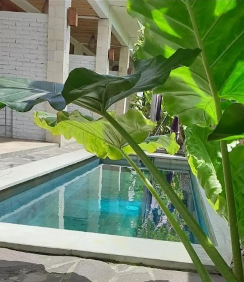 Surya Lombok Accommodation 塞隆贝拉纳克 外观 照片