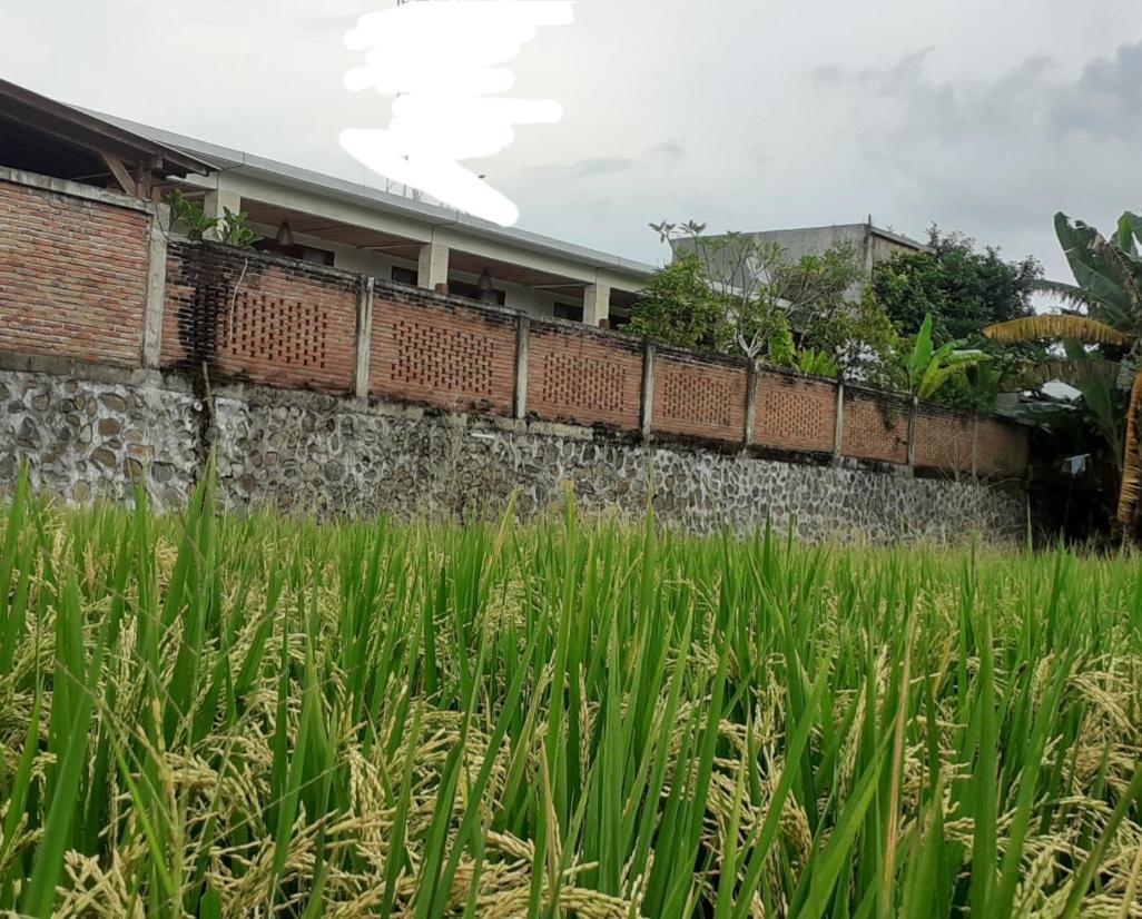 Surya Lombok Accommodation 塞隆贝拉纳克 外观 照片