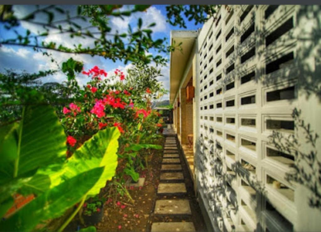 Surya Lombok Accommodation 塞隆贝拉纳克 外观 照片